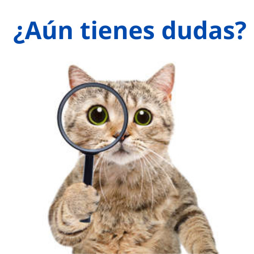 Contactos